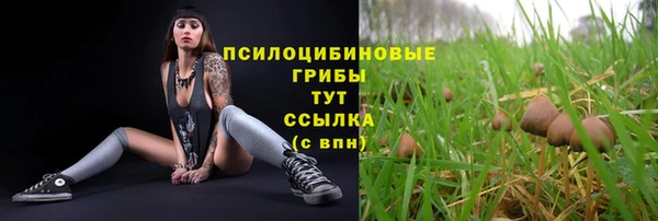 дживик Дмитровск