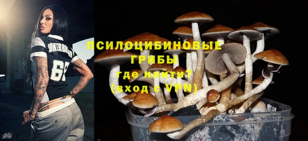дживик Дмитровск